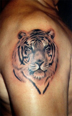 Фото и  значения татуировки Тигр. X_8dcea034